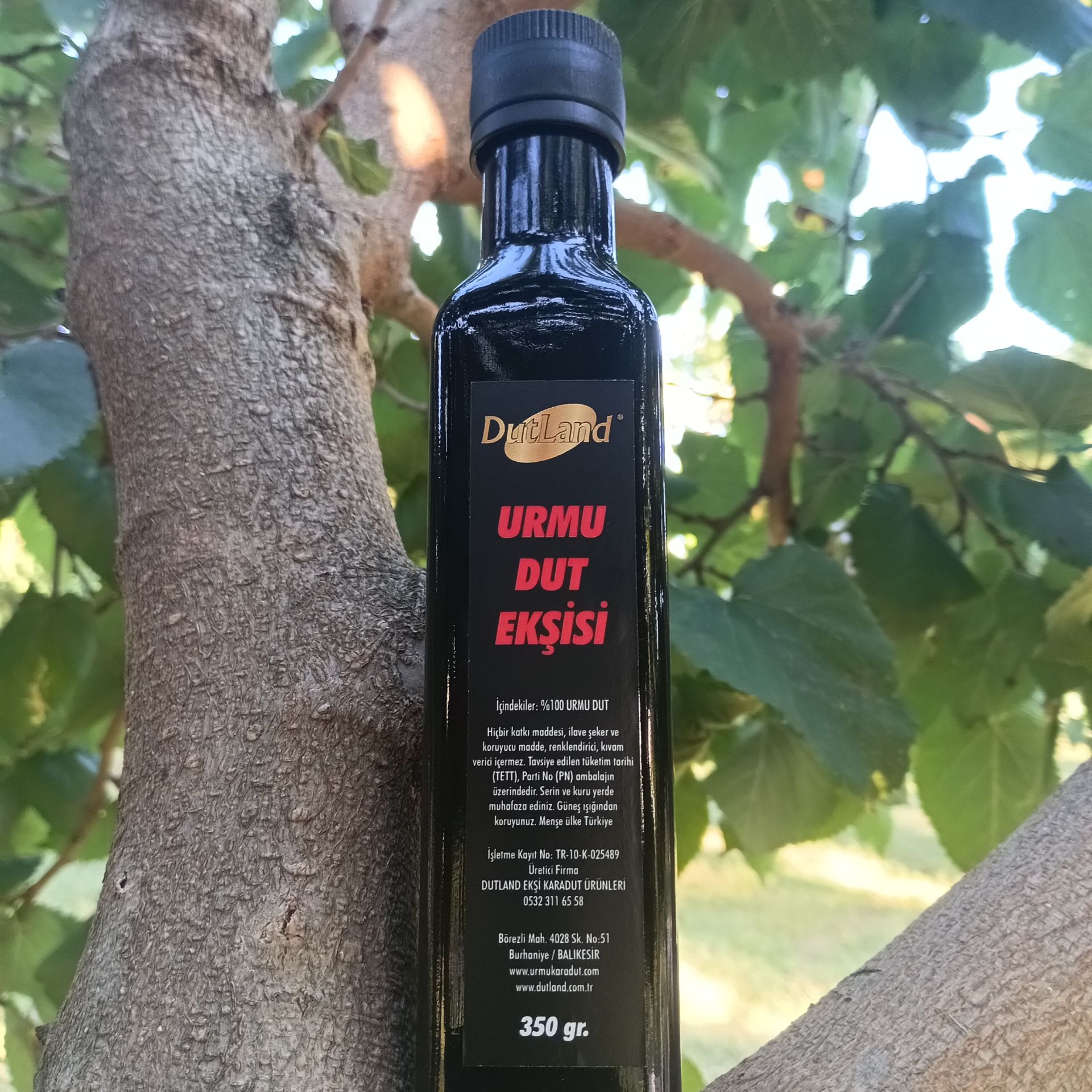Ekşi Karadut(Urmu Dut) Ekşisi 350g