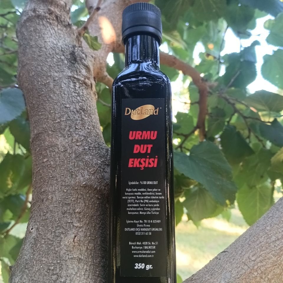 Ekşi Karadut(Urmu Dut) Ekşisi 350g