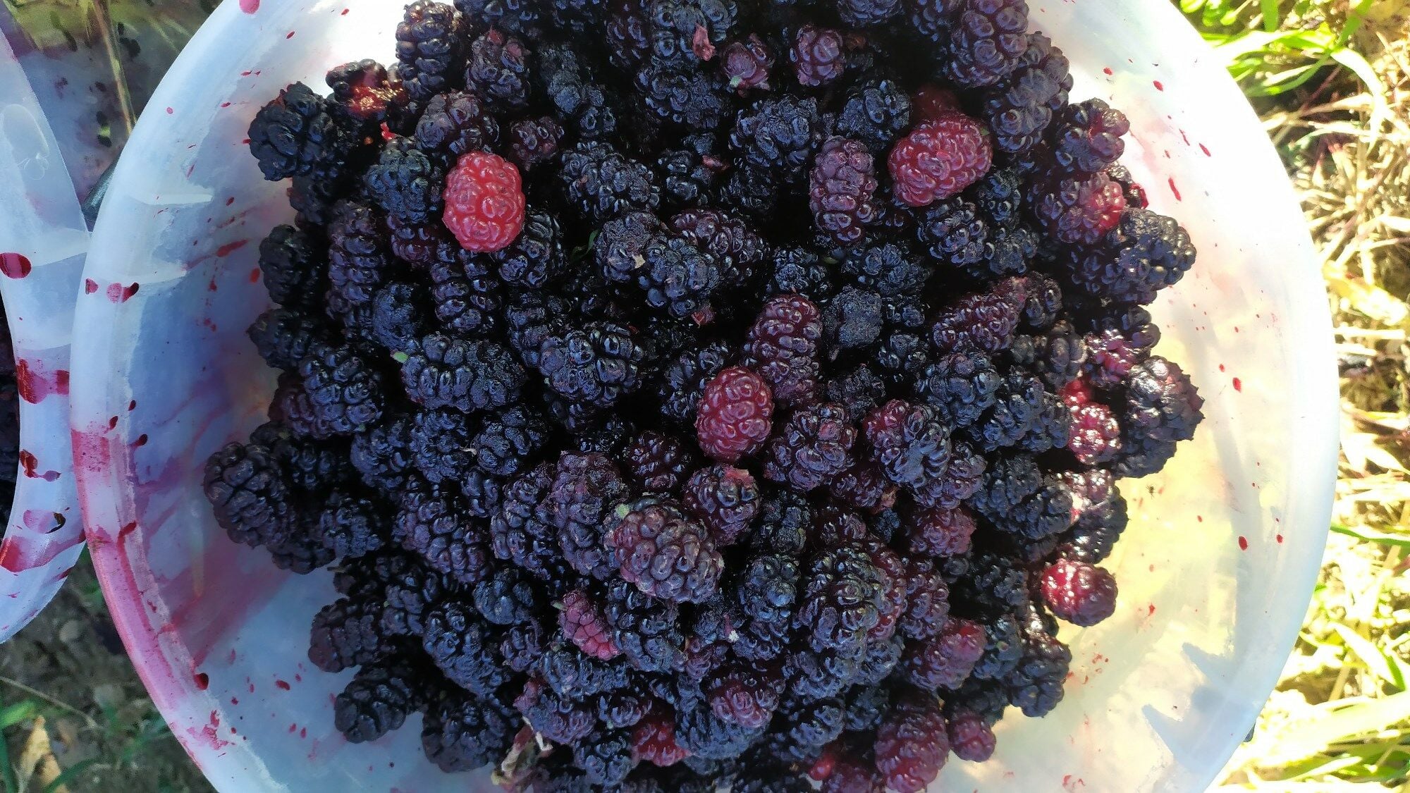 Değerli Müşterimiz! Tüm ürünlerimiz tükendi. İlginiz ve güveniniz için çok teşekkür ederiz. Yeni sezon hazırlıkları başladı... Temmuz ayında yeniden buluşmak umuduyla...