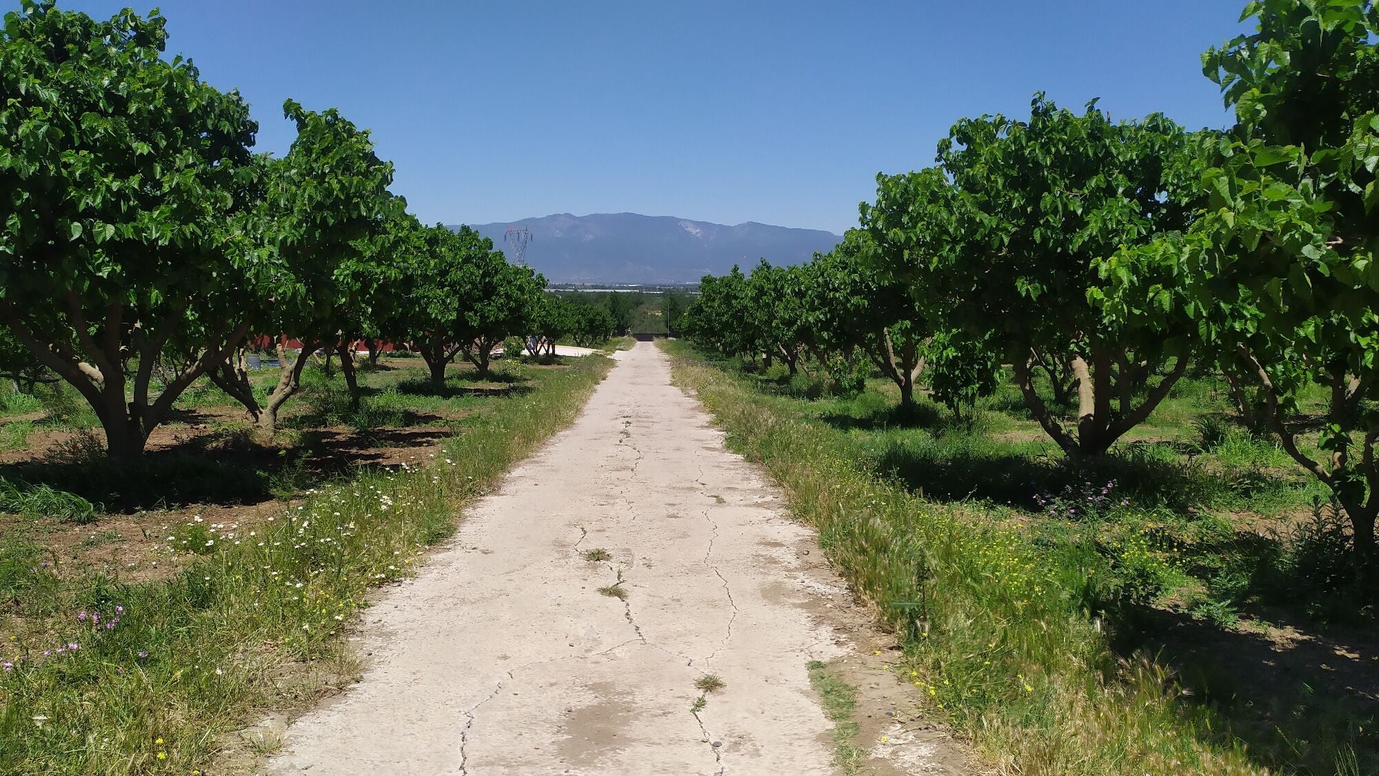 Değerli Müşterimiz! Tüm ürünlerimiz tükendi. İlginiz ve güveniniz için çok teşekkür ederiz. Yeni sezon hazırlıkları başladı... Temmuz ayında yeniden buluşmak umuduyla...
